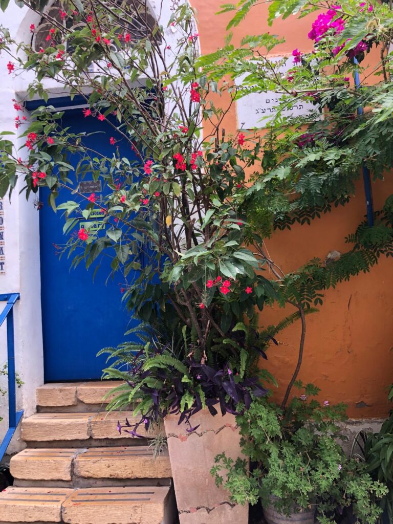 בית אבולעפיה נווה צדק