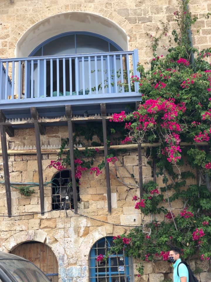 מרפסת יפואית