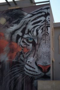 אמנות רחוב בנמל יפו
