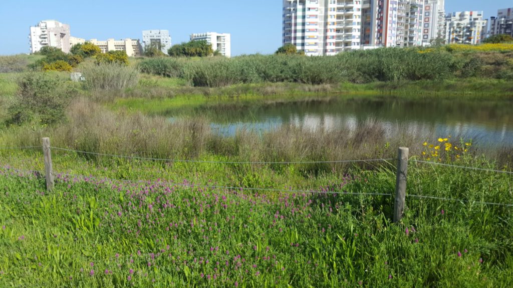 טבע עירוני תל אביב