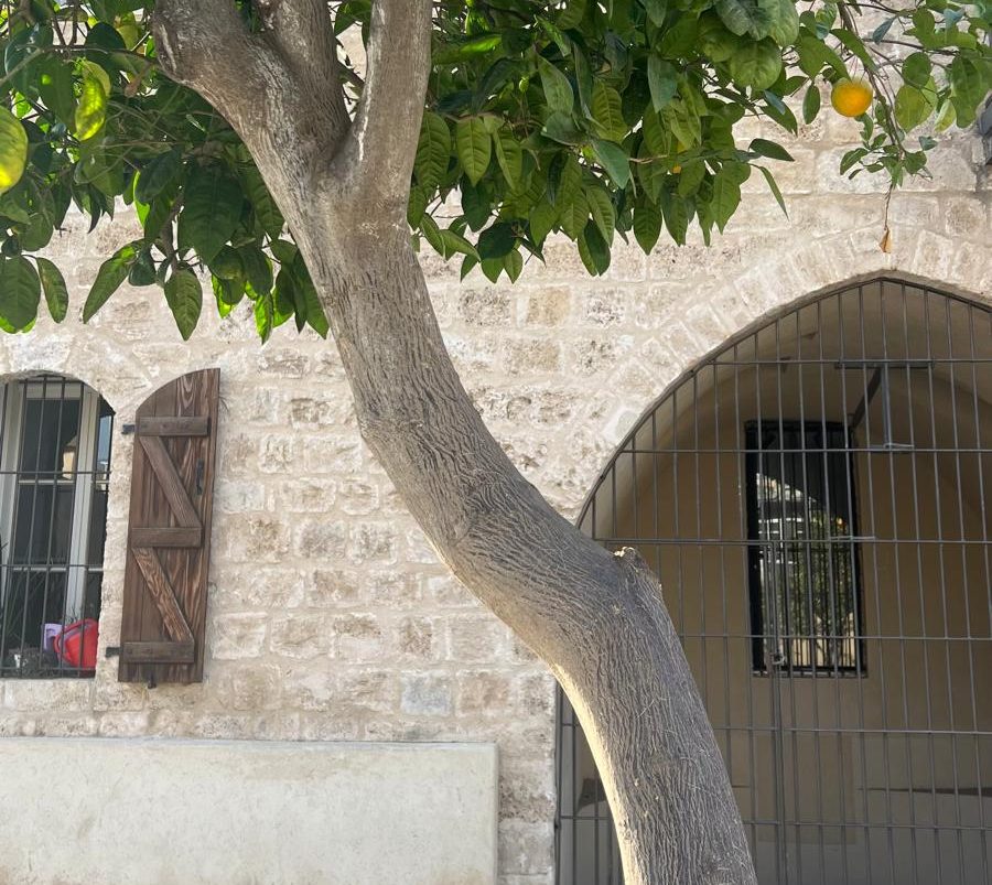 בית הבאר ברחוב סלמה 6