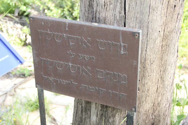 עבודת מחקר