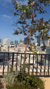 מלון LOGINN